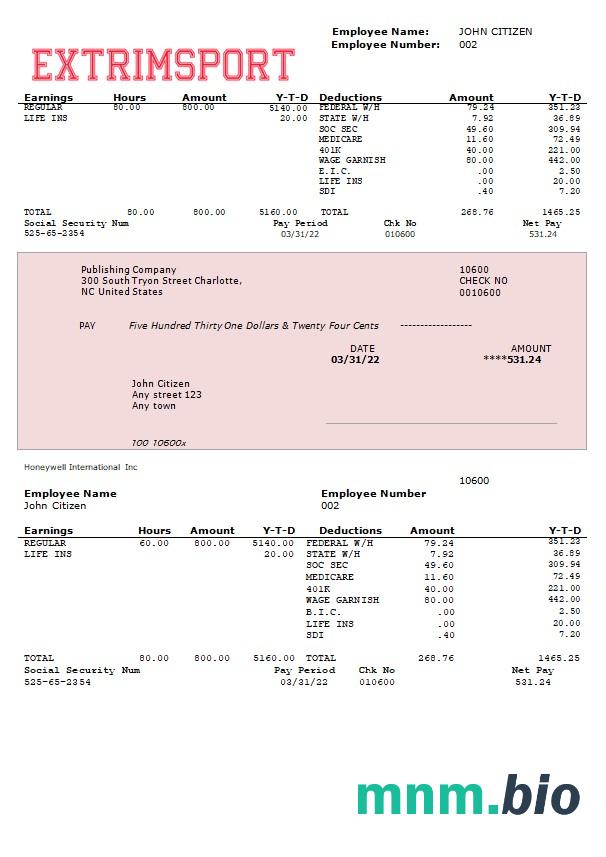 extrim sport company w pełni edytowalne Oświadczenie o zarobkach w formatach Word i PDF